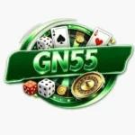 GN55 Game
