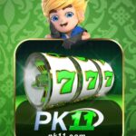 PK11 Game